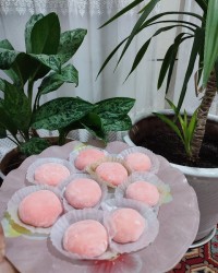 موچی خامه ای