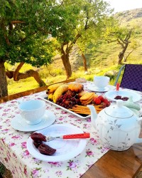 لواشک آلبالو وکیک یزدی