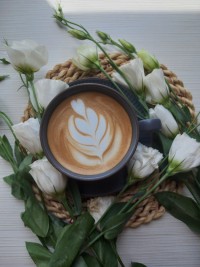 ذوق کوچک من 