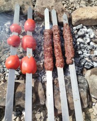 کوبیده درطبیعت