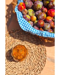 ترشک آلو و شلیل