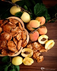 برگه زردآلو