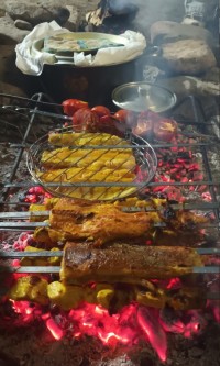 ماهـی کبـاب
جـوجـه کبـاب