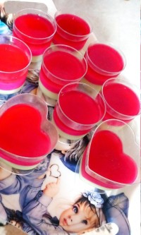 ژله تک نفره شات ژله