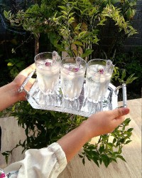 شربت بادرنجبویه