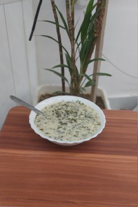 آش دوغ کوردی