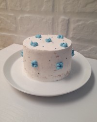 مینی کیک تولد