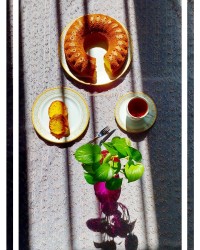 کیک کدو تنبل