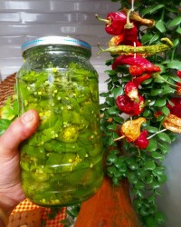 فلفل شور ترکی