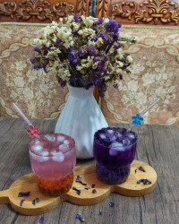 شربت گل پنیرک