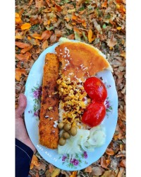 کوبیده مرغ تابه ای