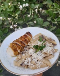 پاستا با سالاد مرغ