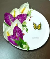 دورچین دلبرم