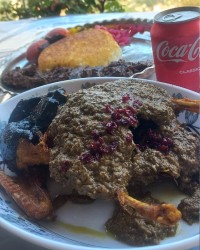 اردک شکم پر 