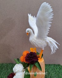 پرنده با شلغم