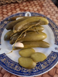 خیارشور خانگی 