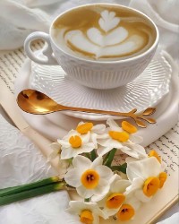 به زیبایی نرگس 