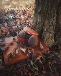 پاییز زیبا ...