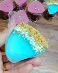 ژله تک نفره شات ژله