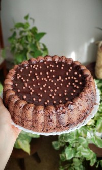 کیک شکلاتی (خوراک شیطان)