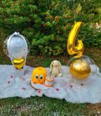 تولد4سالگی سینا جان