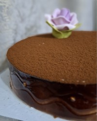 ولادت حضرت علی