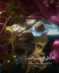 یا زینب کبریٰ سلام‌اللّٰه‌علیها☘️