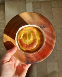 پای کرمدار  زعفرانی 