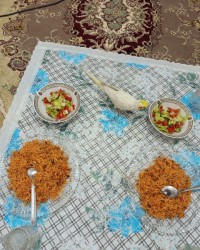 پلو واینم چیکومنه که بدوبدو امدسرسفره