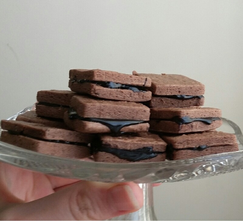 بیسکوییت شکلاتی ساده