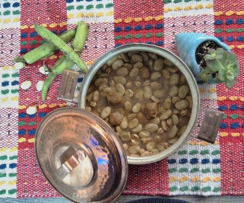 باقالا پخته
