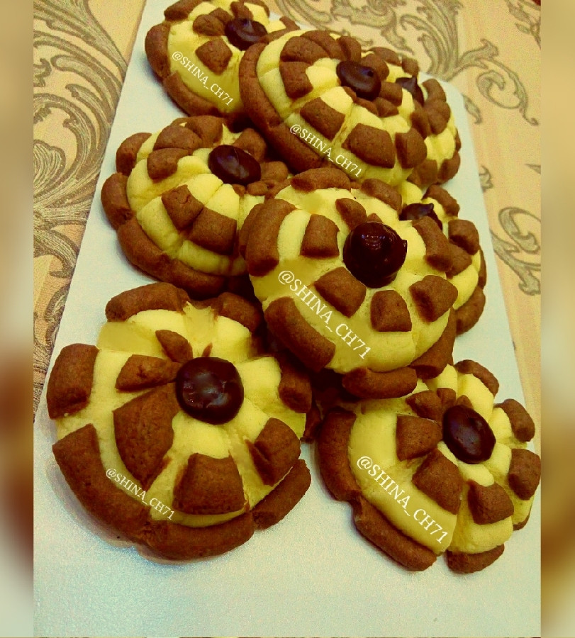 قرابیه حلزونی