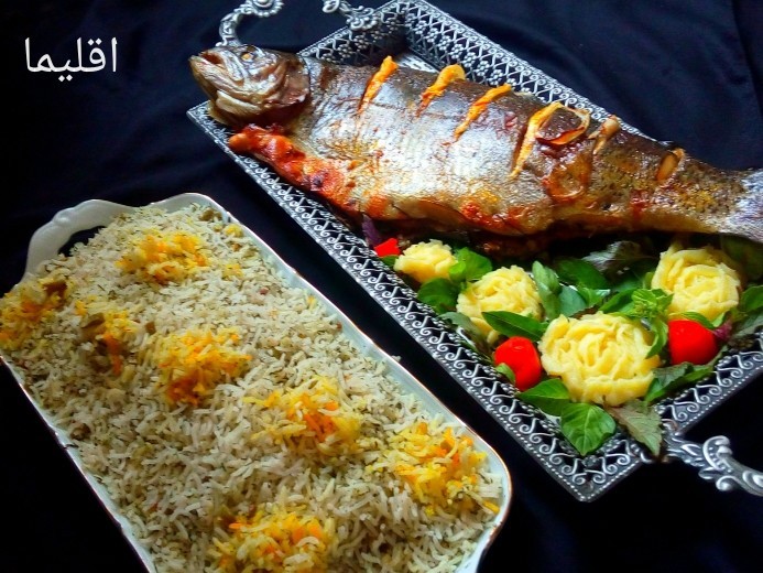ماهی شکم پر شمالی