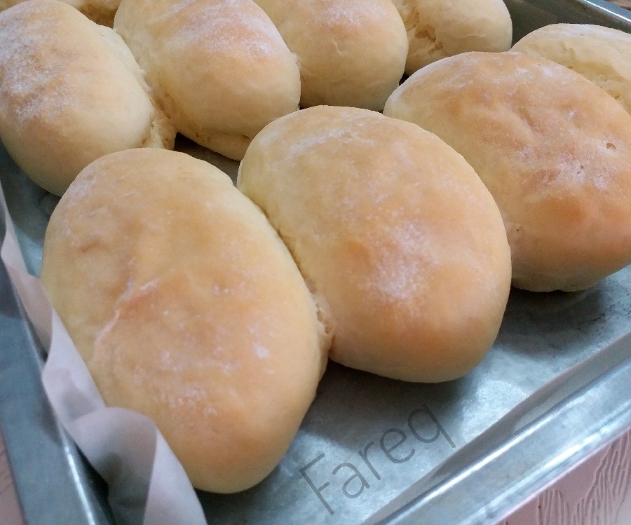 مینی باگت