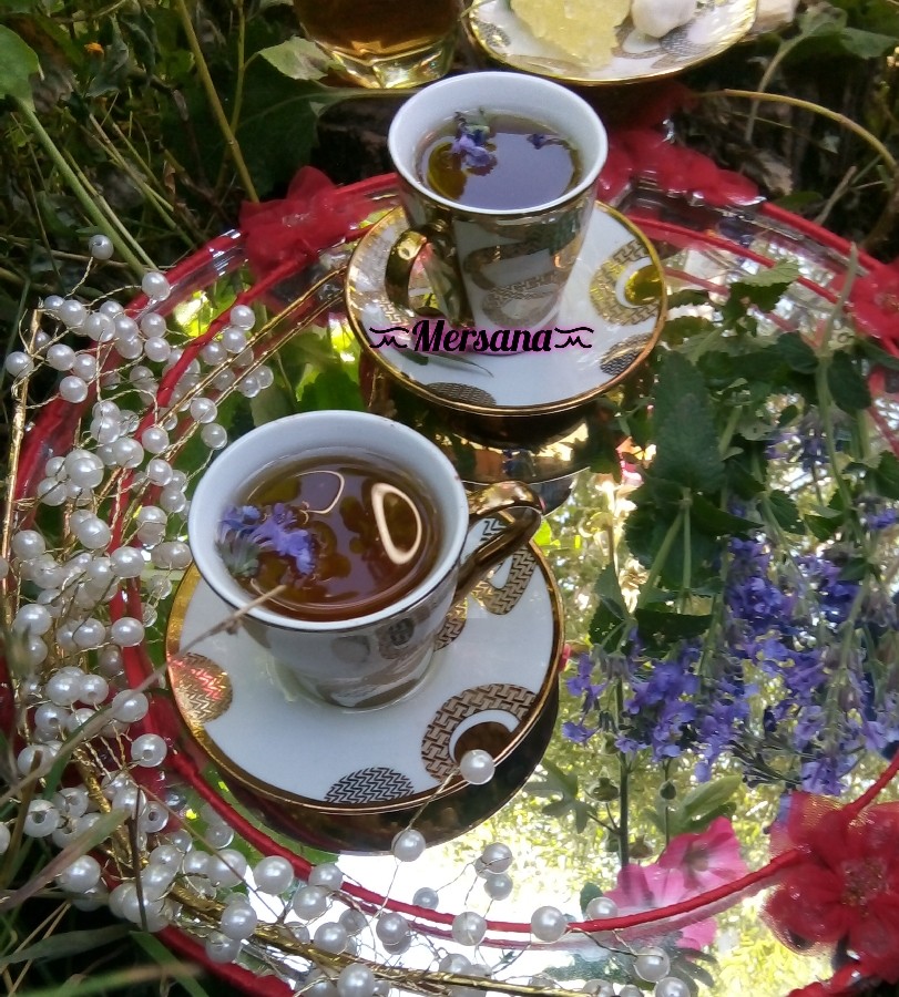 دمنوش مریم گلی