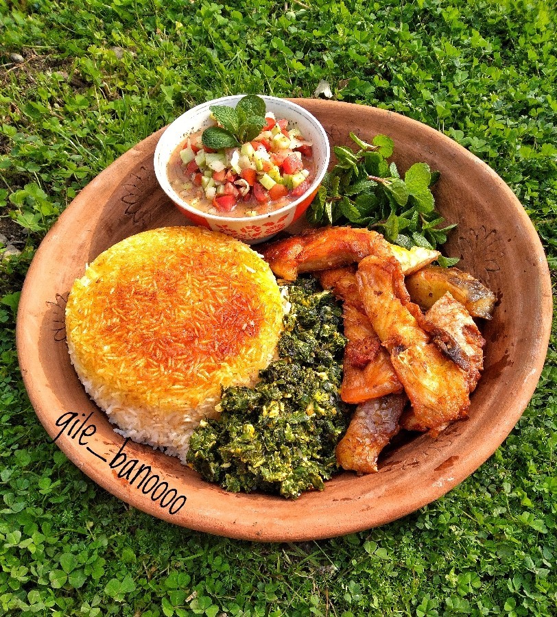 سیر وابیج