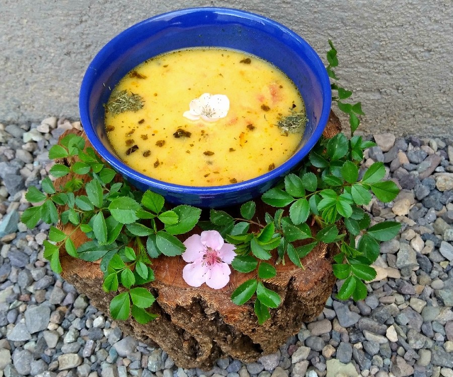بامادور شورباسی(شوربای گوجه)