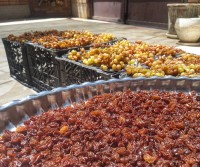 عکس طرز تهیه کشمش خونگی