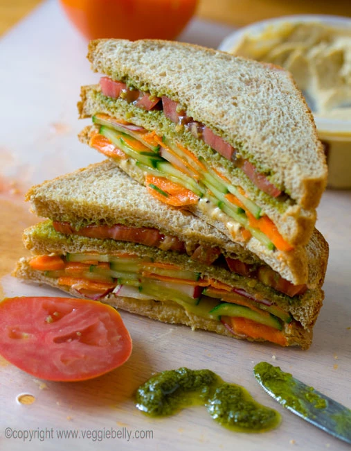 عکس ساندویچ سبزیجات سرد 1 