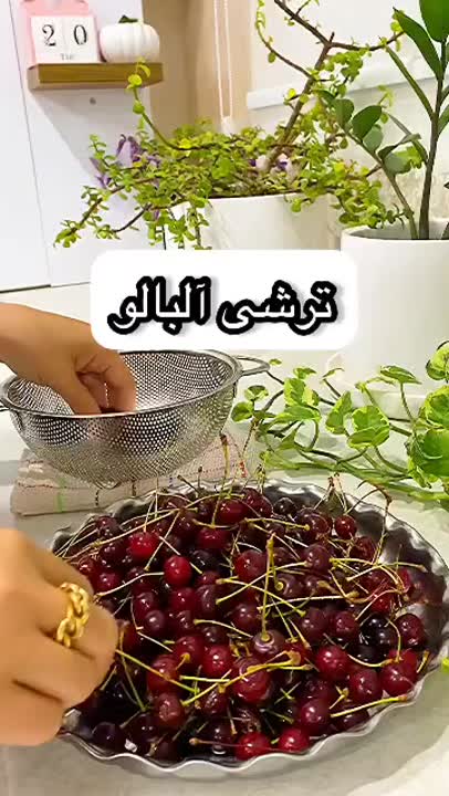 ترشـی آلبالوووو