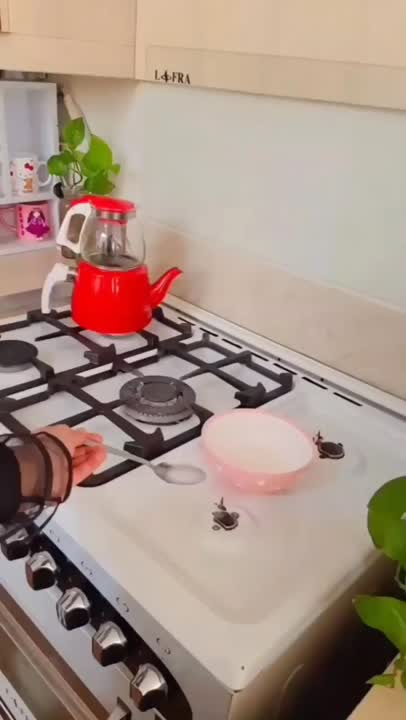 ترفند خانه داری ?