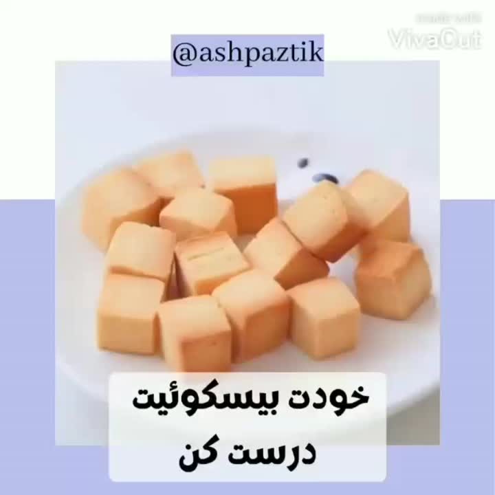 بیسکوییت