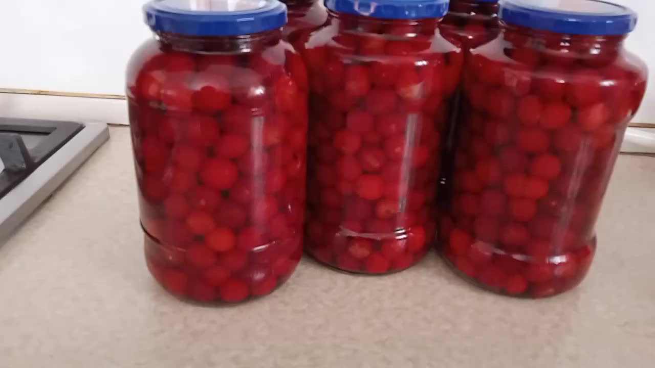 ترشی البالو