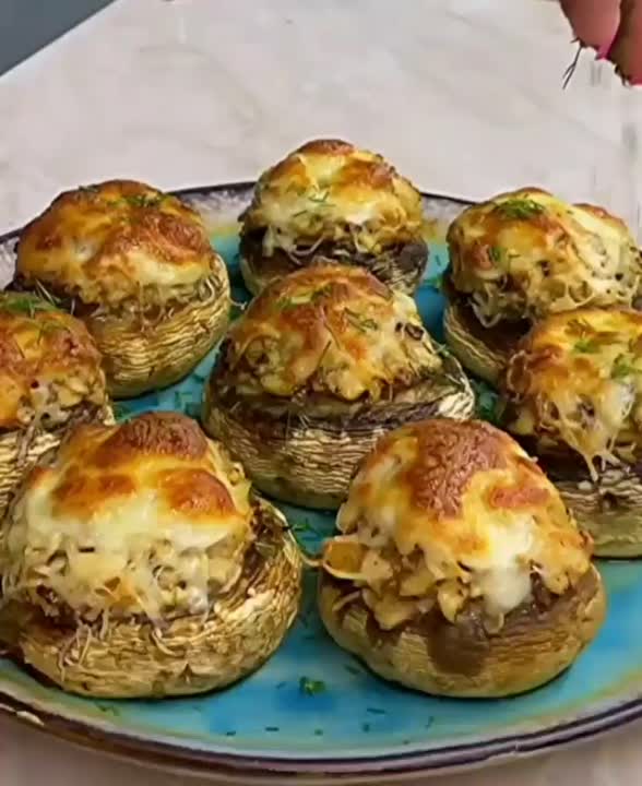 قارچ شکم پر