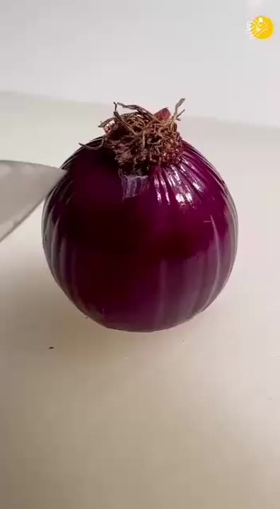 خردکردن پیازدرعرض ۳۰ثانیه ???؟