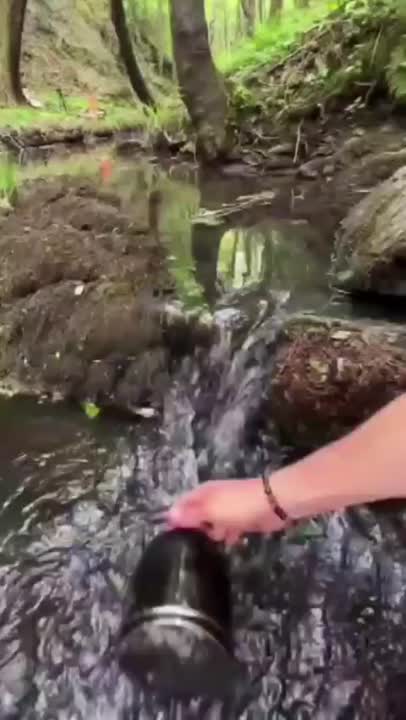 اشپزی در طبیعت :)