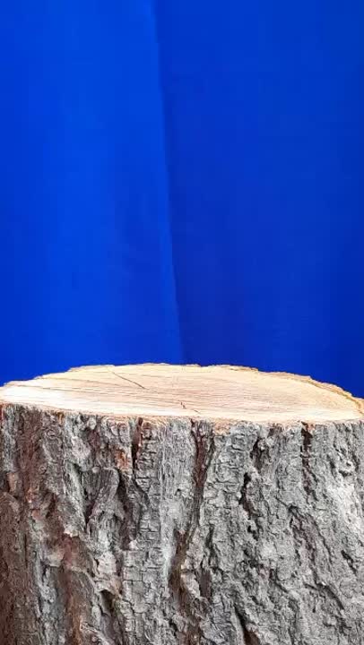 کیک زعفرانی