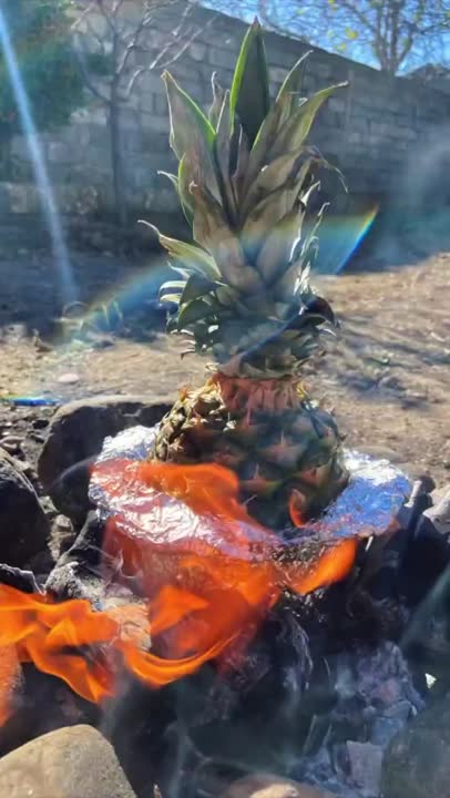 آبگوشت در آناناس