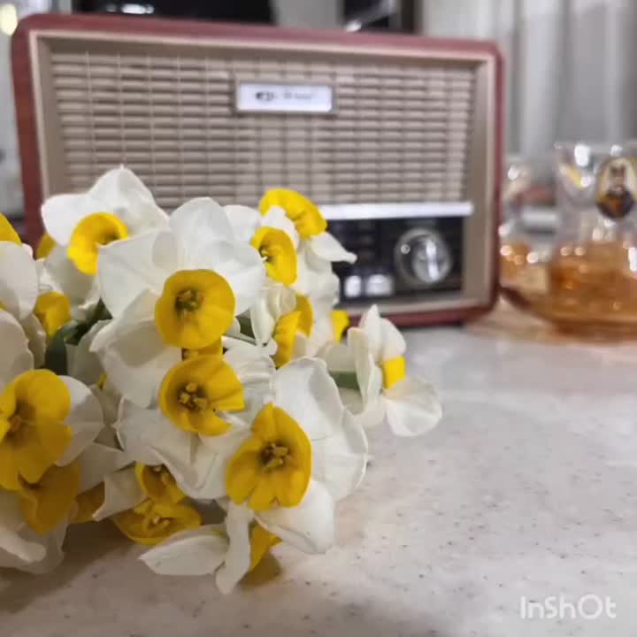 شب یلدا ۱۴۰۲