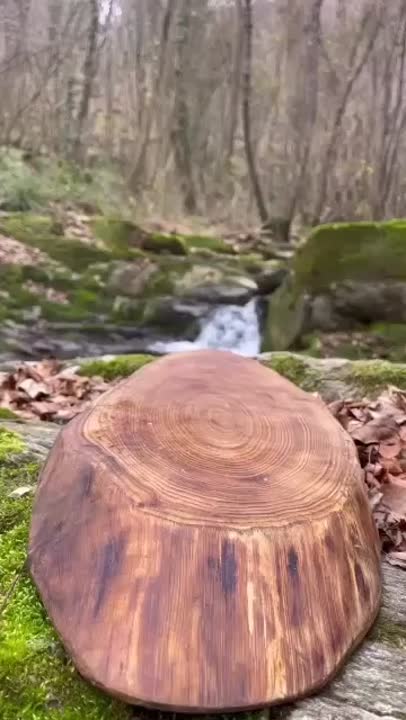 آشپزی در طبیعت